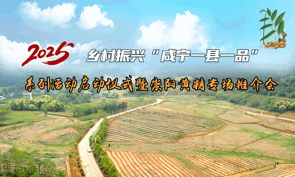 直播回放：2025乡村振兴“咸宁一县一品”系列活动启动仪式暨崇阳黄精专场推介会