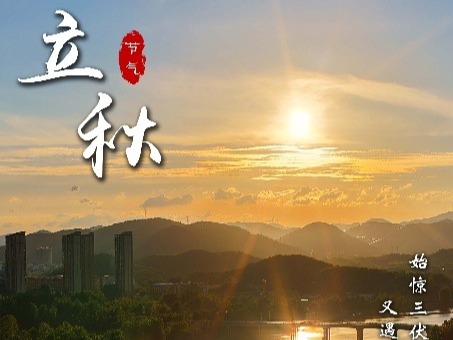 海报丨敛藏夏色 蓄一怀秋光
