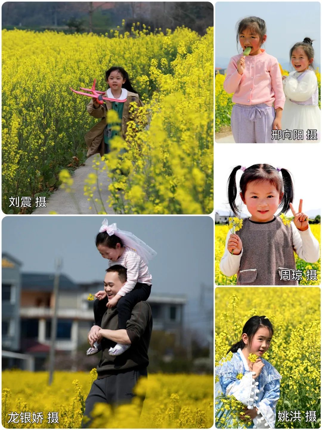 垄头金浪舞春风，稚子嬉游兴味浓。.jpg