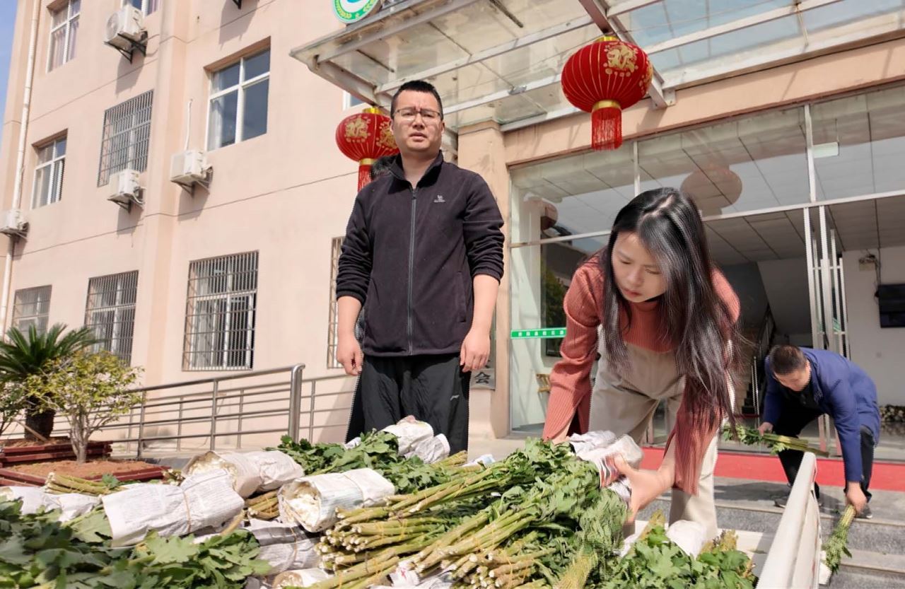 正在上传...