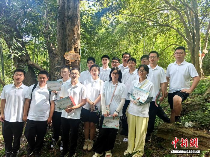 【中国新闻网】准大学生认养古桂花树记乡愁