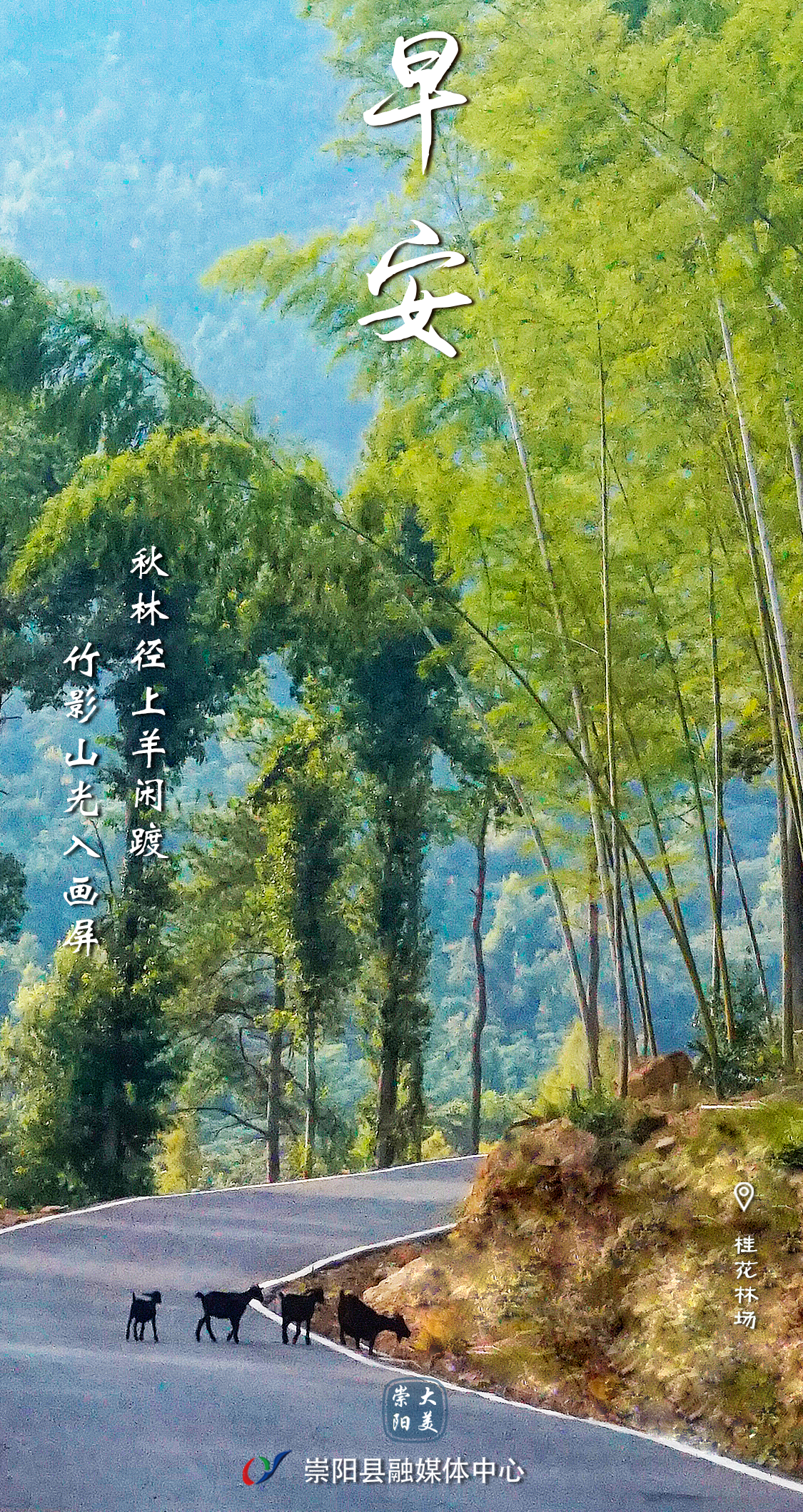 早安·大美崇阳——秋林径上羊闲踱，竹影山光入画屏