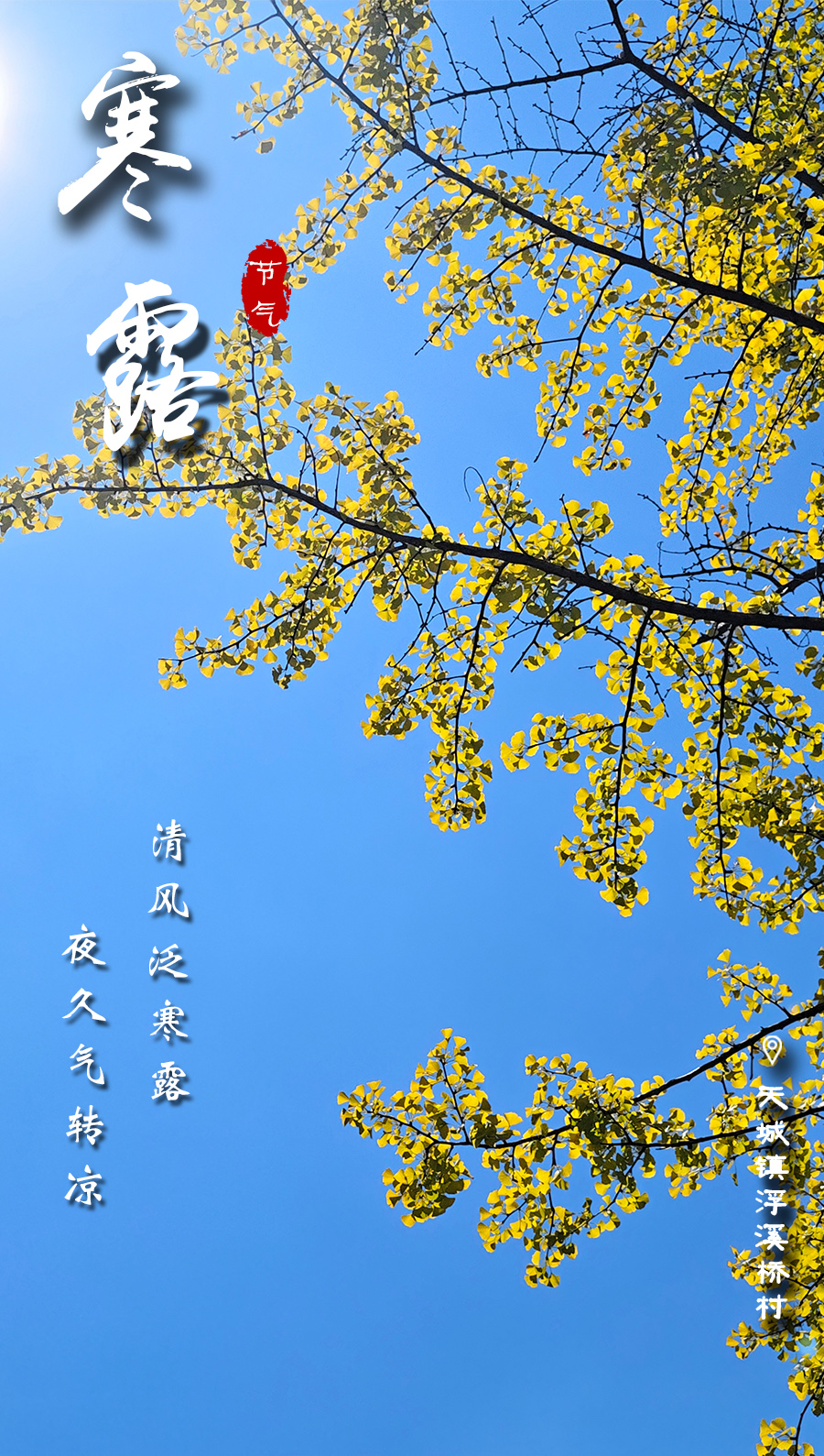 海报丨崇阳：露凝秋实 时蕴清欢